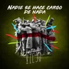 About Nadie Se Hace Cargo de Nada Song