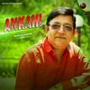 About Ankahi Song