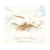 About I Won't Fall Song
