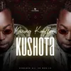 About Kushota (feat. Tsotsi) Song