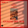 About Camino del Sur Song