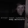 About Bitter Sweet Symphony-Radio Version Song