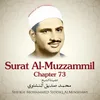 About Surat Al-Muzzammil, Chapter 73 Song