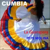 About La Guarapera (Cumbia) Song