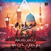 About Al Madad Mustafa Song