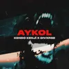 About AYKOL Song