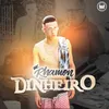 About Dinheiro Song