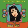 About Gezersin Peşim Sıra Song