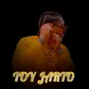 Toy Jarto