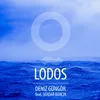 About Lodos Song