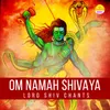 Om Namah Shivaya (Lord Shiv Chants)