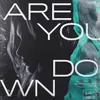 About Are You Down Song