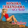 About La Pollera Colorá Song