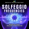 963 Hz Healing Solfeggio Frenquency - Connect to Higher Self (Deep Sleep Music)