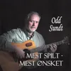 About Skjærslipervise Song