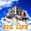 About Big Life Song