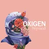 About Oxigen Song