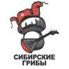 About Первый Снег Song