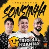 Sonsinha-Ao Vivo