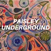 About Paisley Underground Song