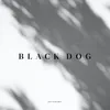 About Black Dog Song