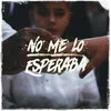 About No Me Lo Esperaba Song