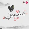 About شلت الكل Song