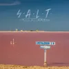 About S.A.L.T (Intro) Song