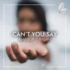 About Can't You Say Song