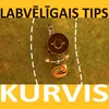 Kurvis