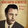 About Huma Kuşu Song