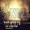 About בין קודש לחול Song