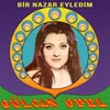 About Bir Nazar Eyledim Song