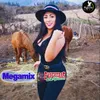 Megamix Rancheras de las Wenas