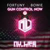 About Gun Control Now Song