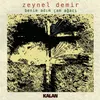 About Benim Adım Çam Ağacı Song