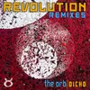 Revolution-The Orb Remix