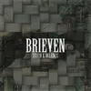About Brieven Song