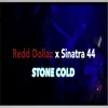 About Stone Cold Song