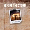 About Before the Storm Song