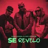 About Se Reveló Song