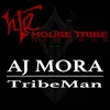 About TribeMan Song