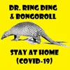 About Stay at Home (Covid-19) Song