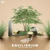 About Equilibrium Song