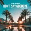About Don't Say Goodbye Song