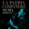 About La Patria Compañero-En Vivo Song