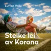 About Steike lei av Korona Song