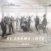 About Vi skäms inte Song