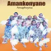 Amaphoyisa
