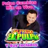 Pulpo Cumbias-En Vivo